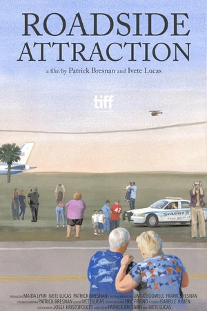 Постер к фильму Придорожная достопримечательность (2017)