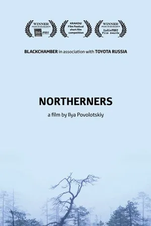 Постер к фильму Северяне (2017)
