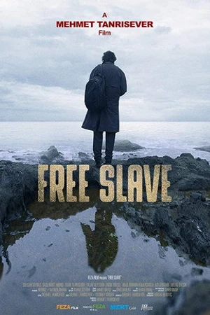 Постер к фильму Свободный раб (2019)