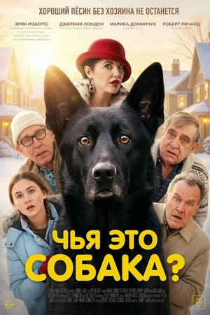 Постер к фильму Чья это собака? (2025)