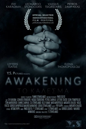 Постер к фильму To Kalesma (2016)