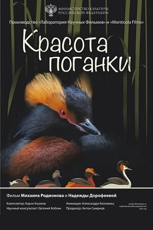 Постер к фильму Красота поганки (2023)