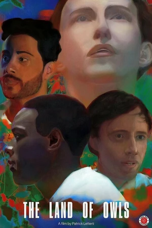 Постер к фильму The Land of Owls (2021)