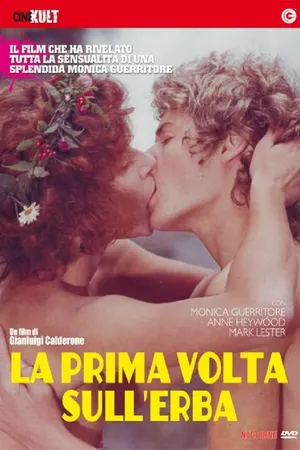 Постер к фильму Любовь под вязами (1975)