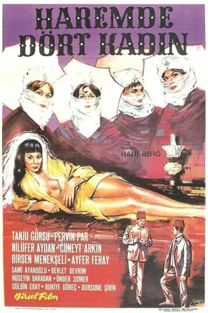 Постер к фильму Haremde dört kadin (1965)