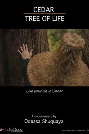 Постер к фильму Cedar Tree of Life (2018)