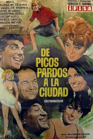 Постер к фильму С горных вершин в город (1969)