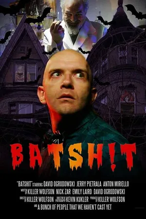 Постер к фильму Batshit (-)