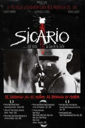 Постер к фильму Наёмный убийца (1994)