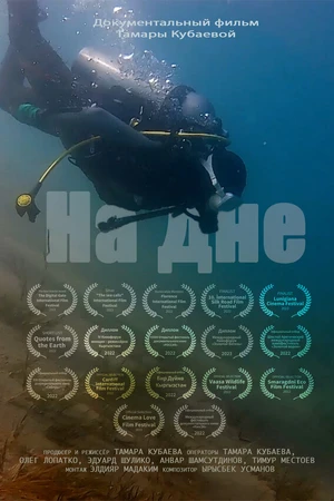 Постер к фильму На дне (2022)