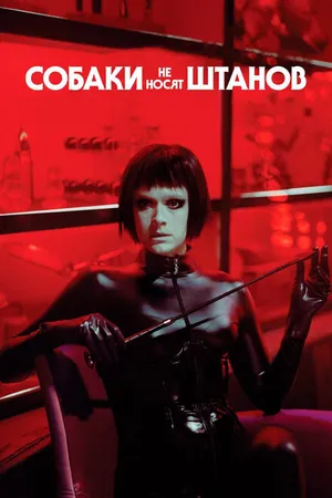 Постер к фильму Собаки не носят штанов (2019)