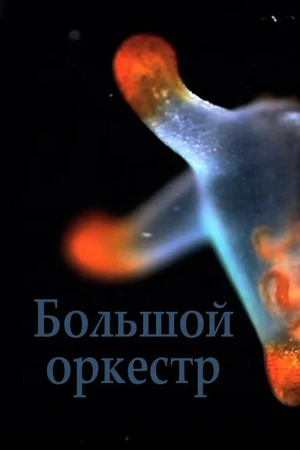 Постер к фильму Большой оркестр (2018)