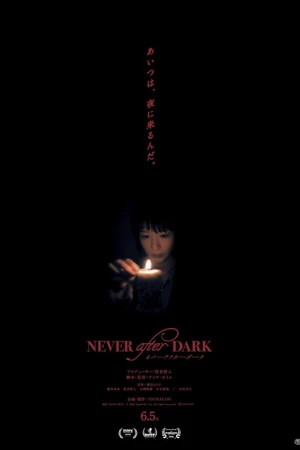 Постер к фильму Never After Dark (2026)