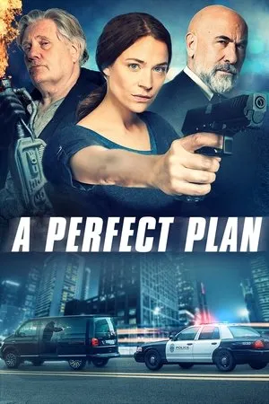 Постер к фильму A Perfect Plan (2020)