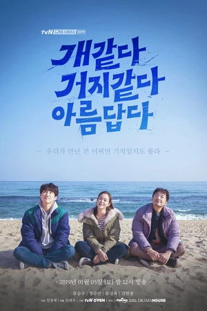 Постер к фильму Красивое и уродливое (2019)
