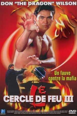 Постер к фильму Огненное кольцо 3: Удар льва (1994)