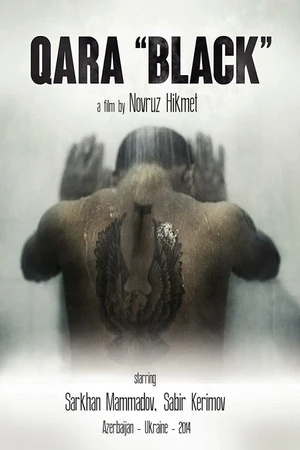 Постер к фильму Qara (2014)