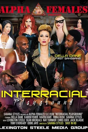 Постер к фильму Interracial Playground (2018)