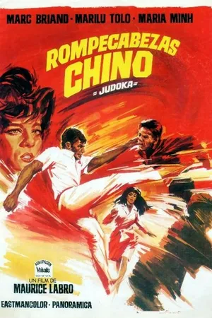 Постер к фильму Casse-tête chinois pour le judoka (1967)