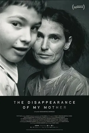 Постер к фильму Storia di B. - La scomparsa di mia madre (2019)