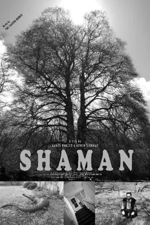 Постер к фильму Shaman (2020)