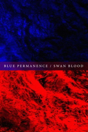 Постер к фильму Blue Permanence/Swan Blood (2015)