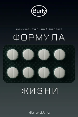 Постер к фильму Формула жизни (2026)