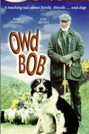 Постер к фильму Старина Боб (1998)