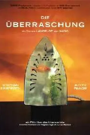 Постер к фильму Сюрприз (2004)