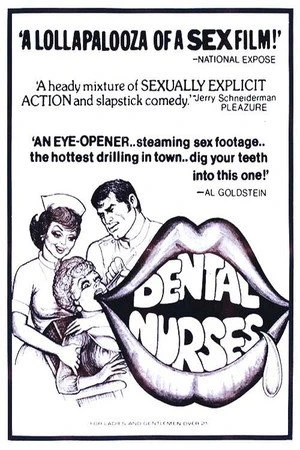 Постер к фильму The Dental Nurses (1975)