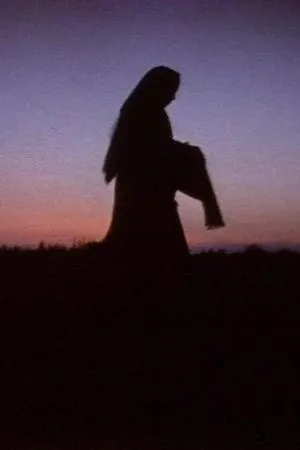 Постер к фильму Женщины в тени (1992)