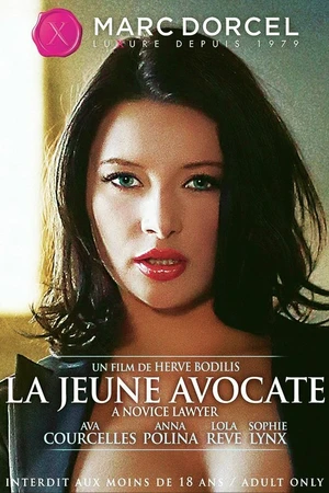 Постер к фильму La Jeune Avocate (2014)
