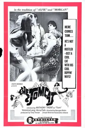 Постер к фильму Mini Weekend (1968)