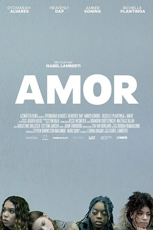 Постер к фильму Amor (2017)