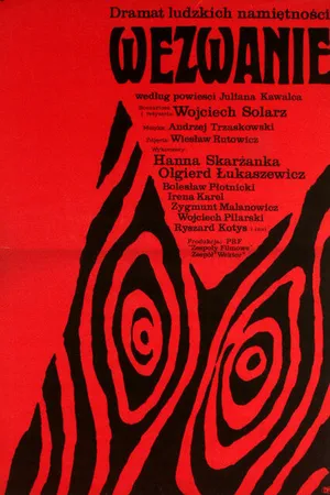 Постер к фильму Вызов (1971)