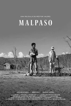 Постер к фильму MALPASO (2019)
