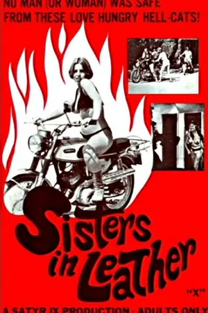 Постер к фильму Сестрички в коже (1969)