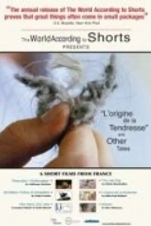 Постер к фильму L'origine de la tendresse (1999)