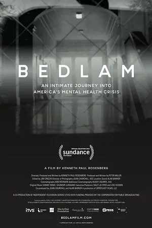 Постер к фильму Bedlam (2019)