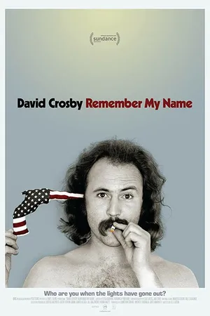 Постер к фильму David Crosby: Remember My Name (2019)