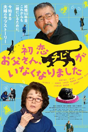 Постер к фильму Котик пропал (2019)