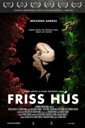Постер к фильму Friss Hús (2017)