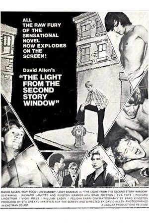 Постер к фильму The Light from the Second Story Window (1973)