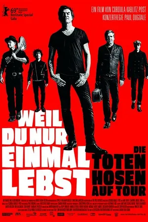 Постер к фильму Die Toten Hosen - Tour 2018 (2019)