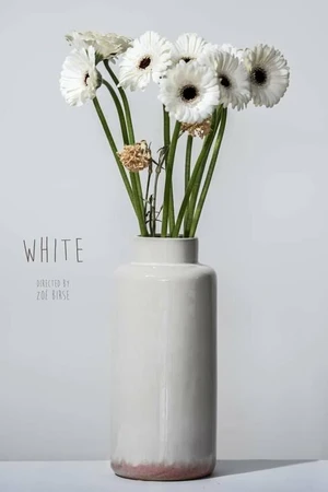 Постер к фильму White (2021)