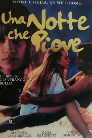 Постер к фильму Дождливая ночь (1995)