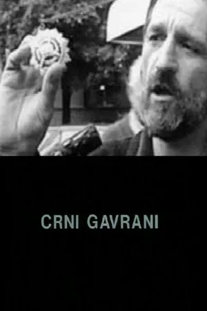 Постер к фильму Crni gavrani (2002)