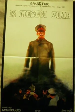 Постер к фильму 12 meseci zime (1983)
