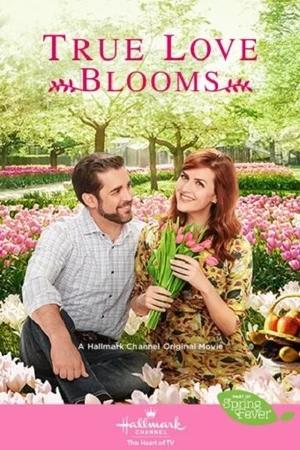 Постер к фильму Когда расцветает любовь (2019)