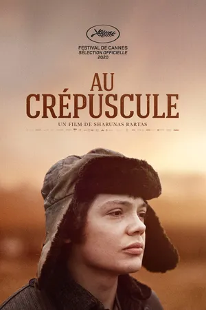 Постер к фильму В сумерках (2019)